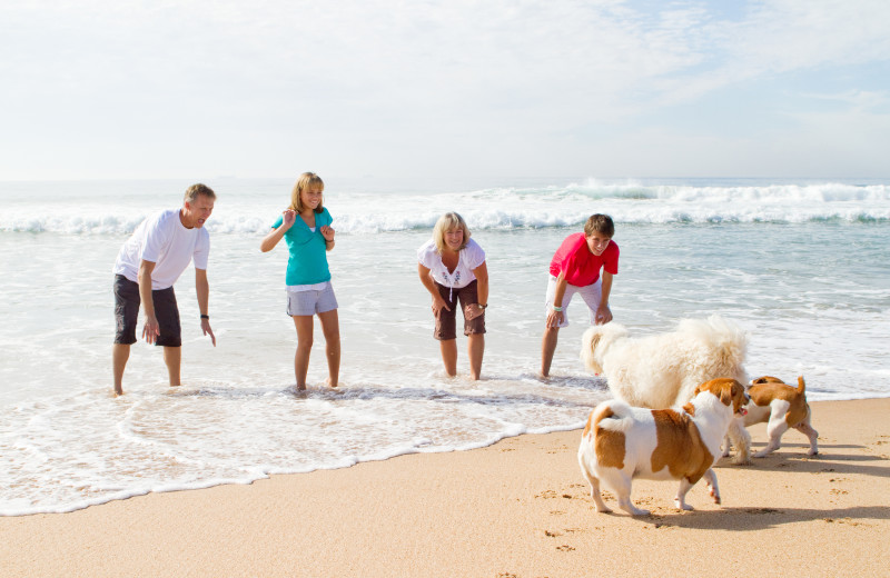 Pets welcome at Bender Realty Vacation Rentals.