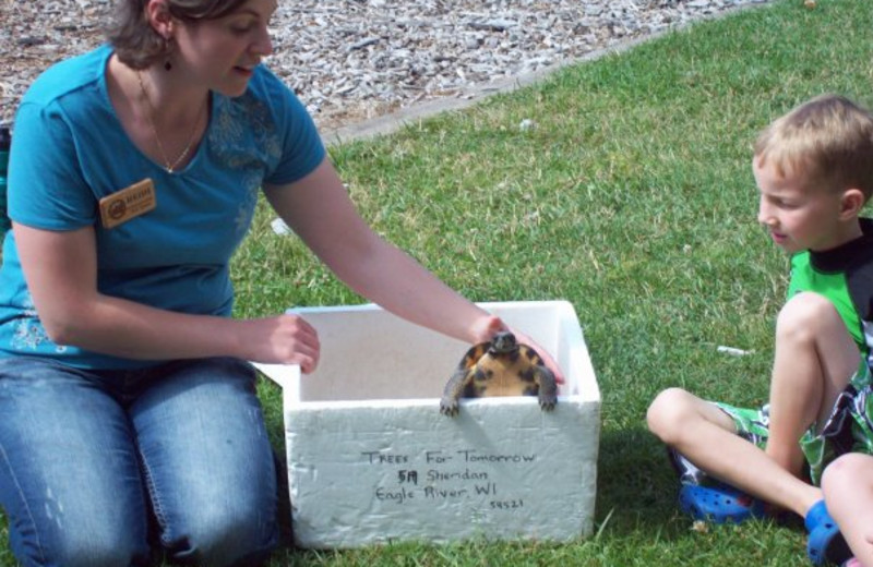 Nature programs at Wild Eagle Lodge.