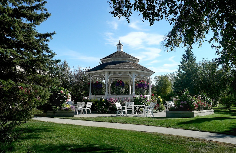 Exterior view of Wedgewood Resort.
