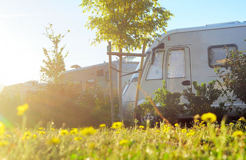 RV camping at ACE Adventure Resort.