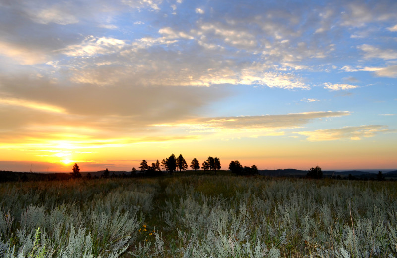 Scenic view at Backroads Inn and Cabins.