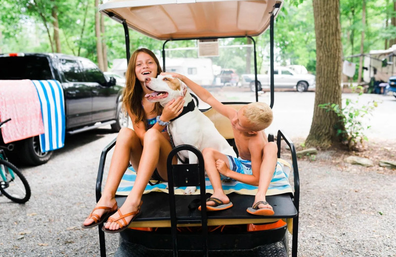 Pets welcome at Yogi Bear's Jellystone Park Luray.