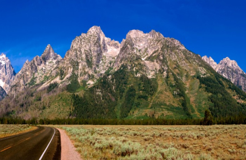 Grand Teton National Park near White Buffalo Club.