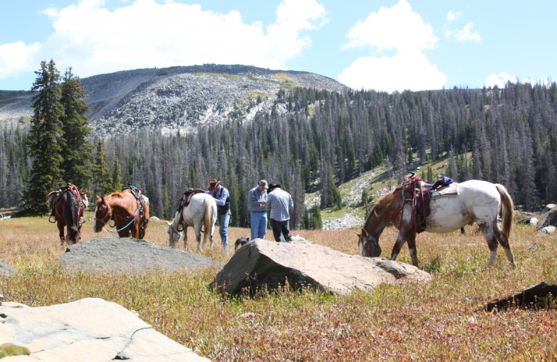 Horseback riding at Medicine Bow Lodge.