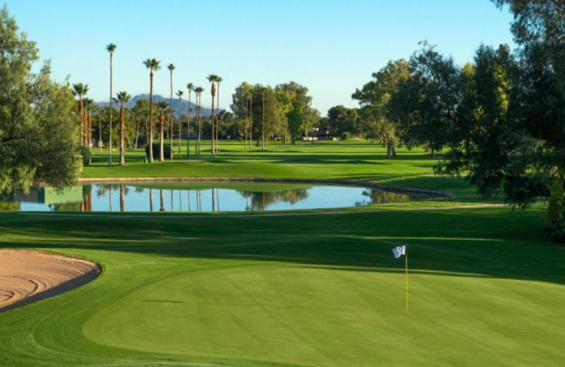Golf course at Sheraton San Marcos Golf Resort.