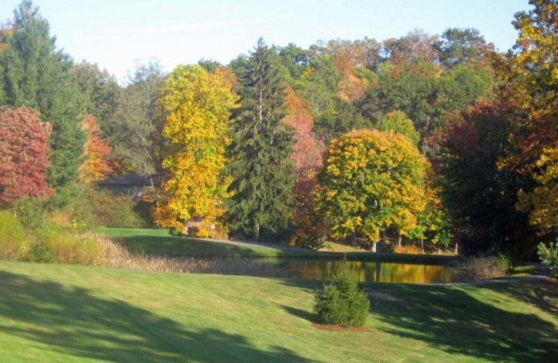 Fall at Peppertree Maggie Valley