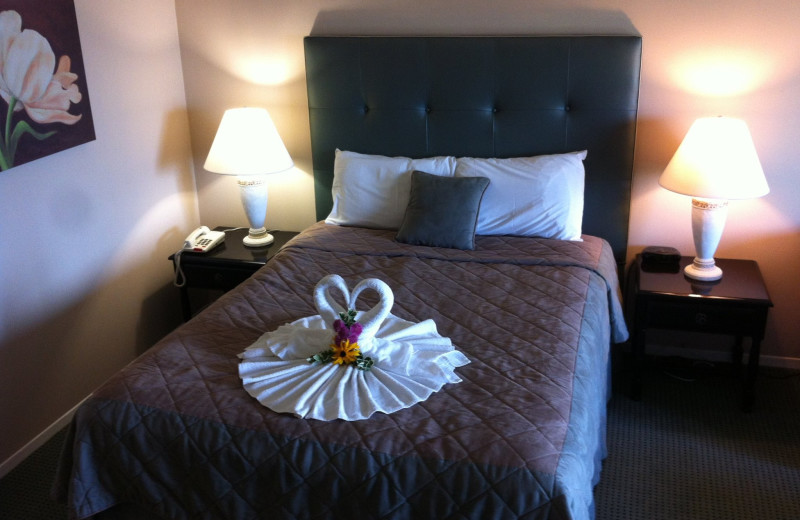 Guest room at Fern Resort.