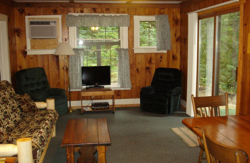 Cabin living room at Moore Springs Resort.