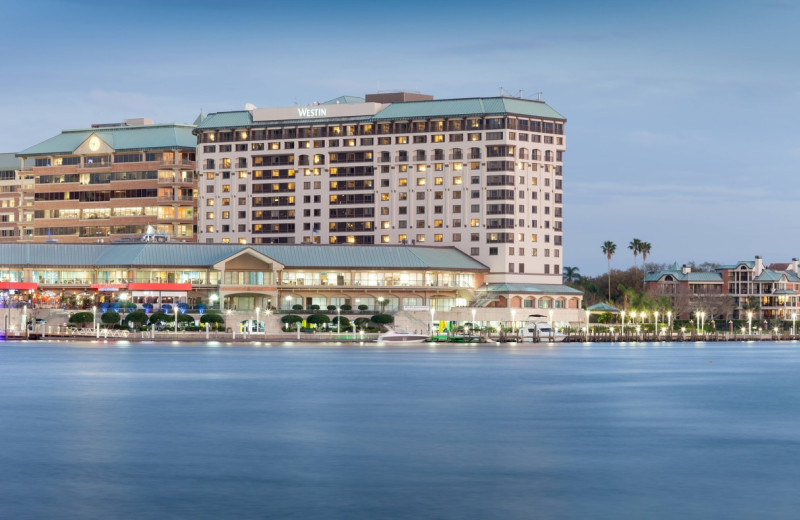 Exterior view of The Westin Tampa Harbour Island.