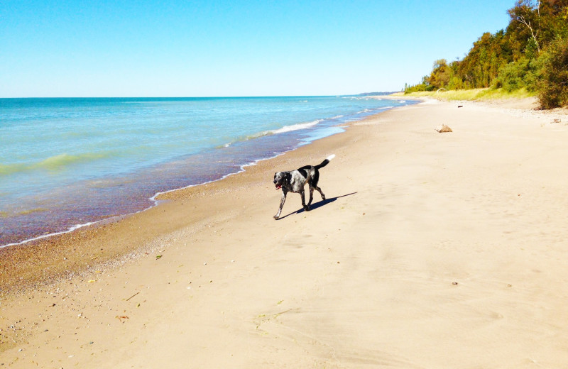 Spend a day at the beach during a trip to Port Albert Inn and Cottages