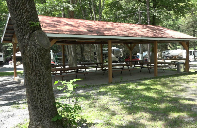 Picnic area at Yogi at Shangri-La - Jellystone Park.