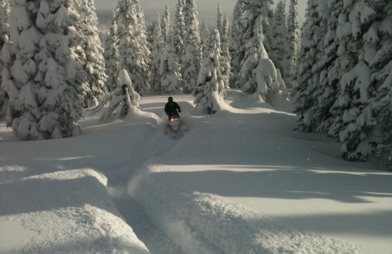 Snowmobiling at Island Park Cabins.