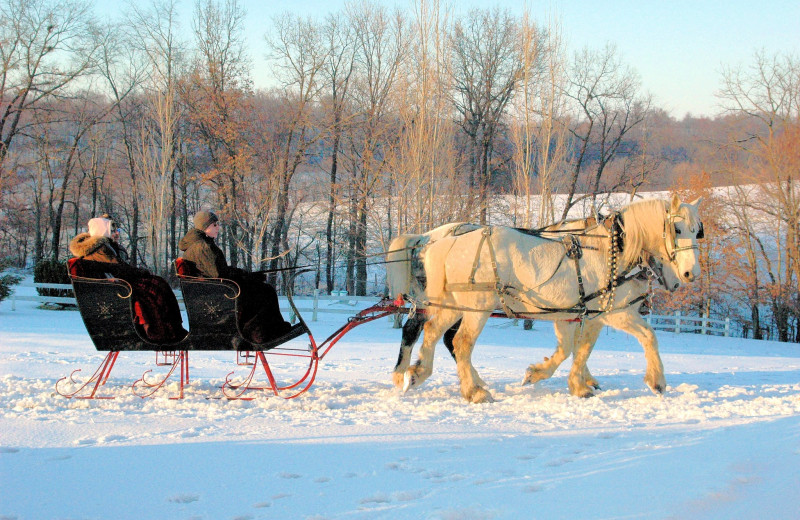 Sleigh ride at Guggisberg Swiss Inn/Amish Country Riding Stables.