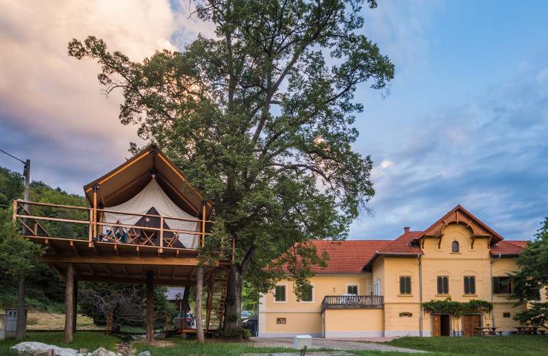 Tree house at Chateau Ramšak Glamping Resort.