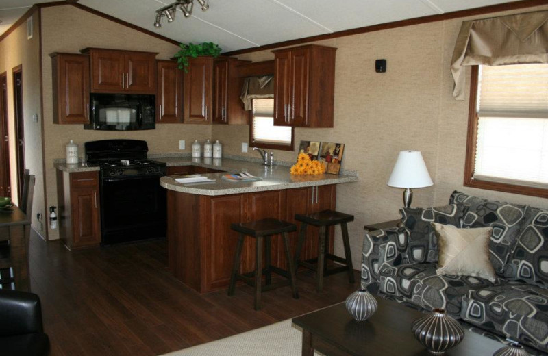 Cabin kitchen at Shamrock Bay Resort.