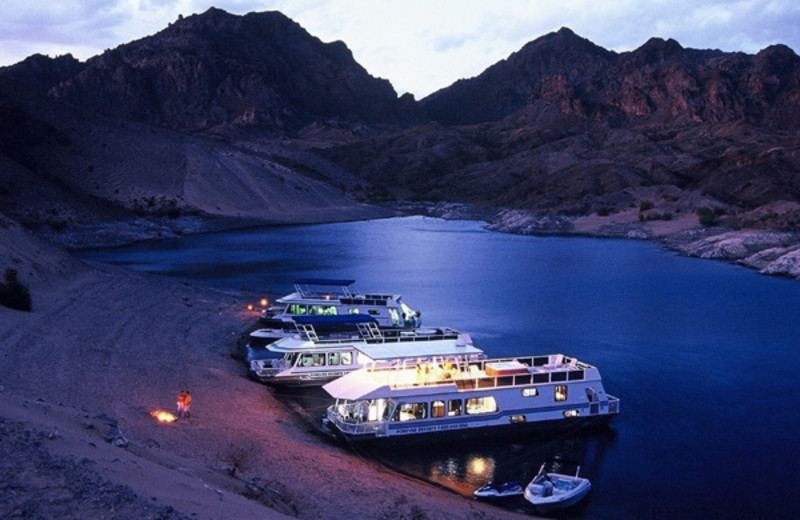 Houseboats at Callville Bay.