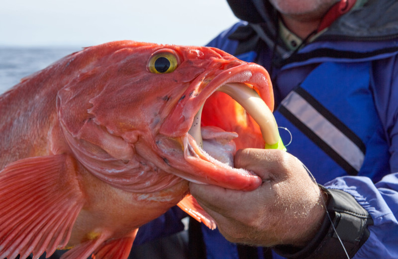 Fishing at Walker Vacation Rentals.