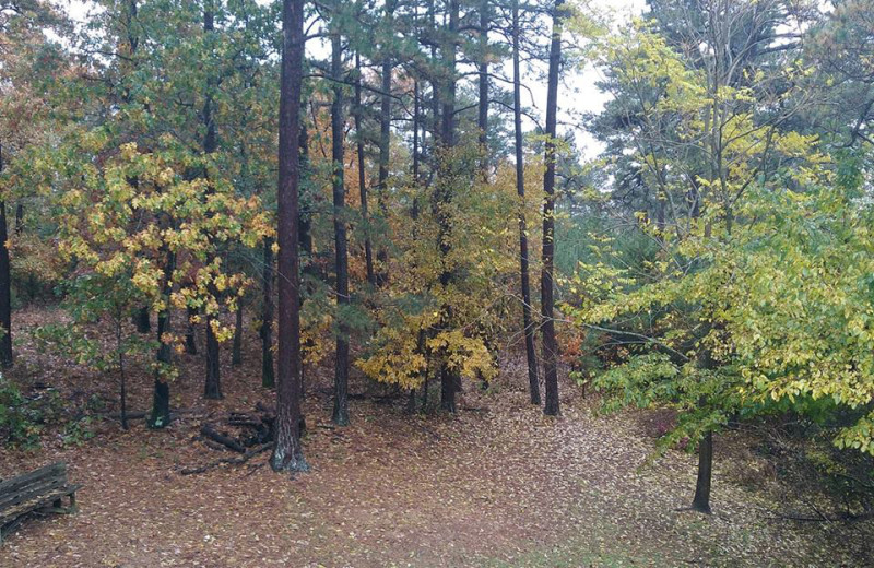 View from The Lookout Lodge.