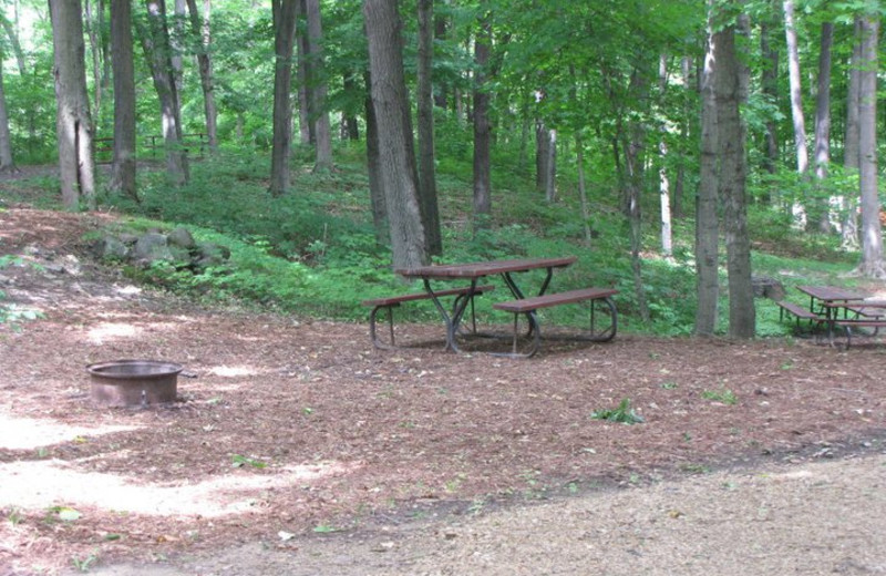 Campsite at Merry Mac's Campground
