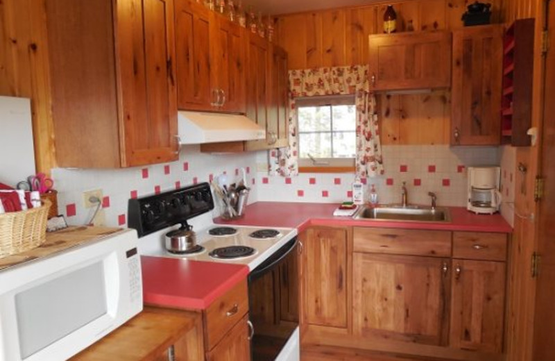 Cabin kitchen view at Red Door Vacation Rentals.