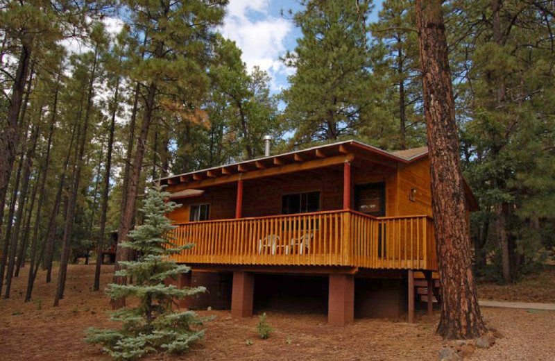 hotel in pinetop az area