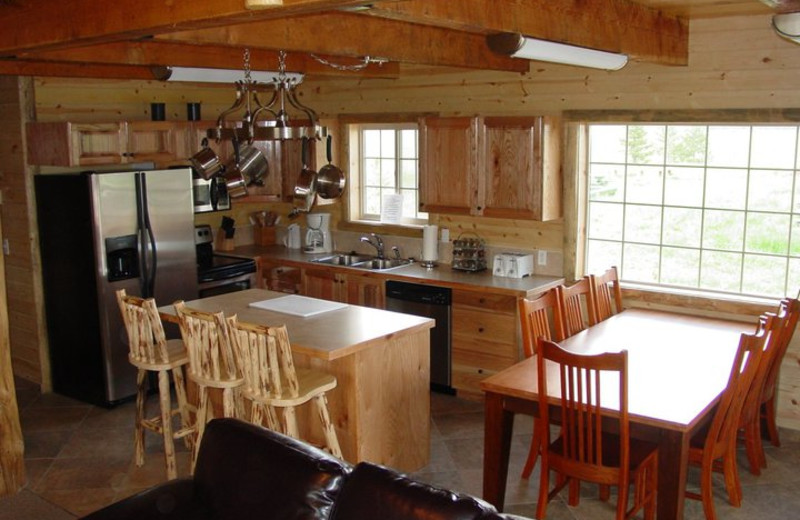 Cabin kitchen at Island Park Cabins.