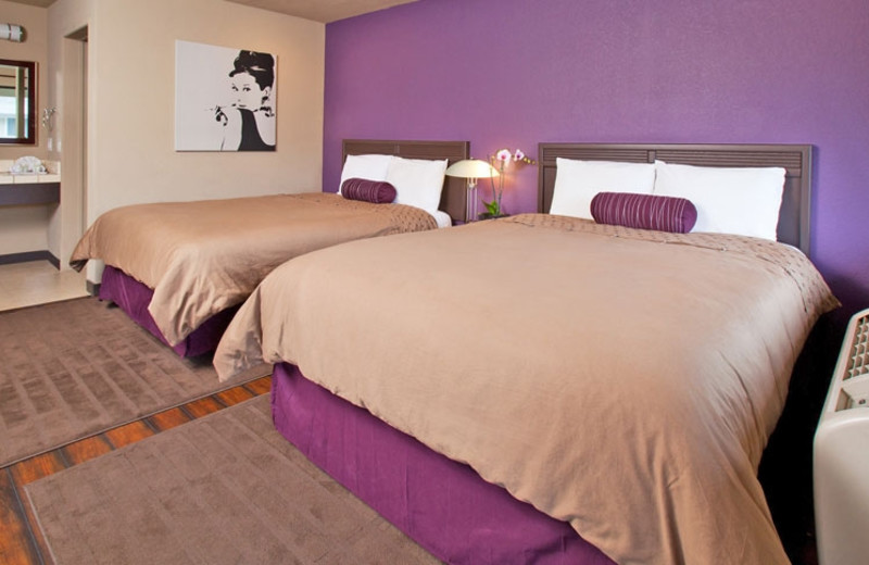 Guest Room at Alura Inn