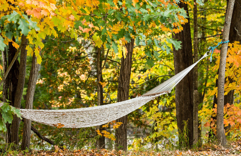 Hammock at ADK Trail Inn.