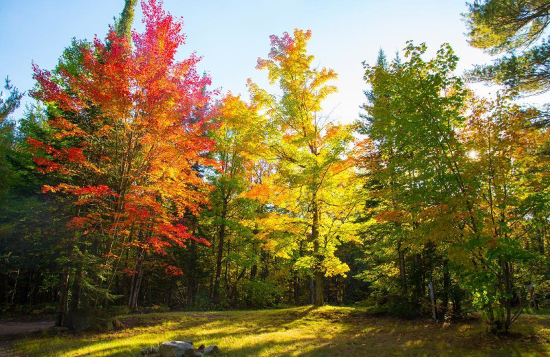 Fall at Bonnie Lake Resort.