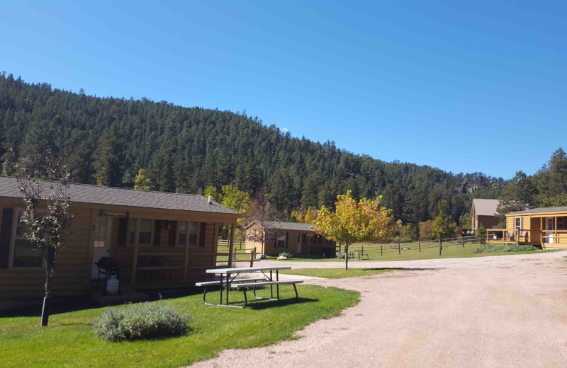 Exterior view of American Pines Cabins.