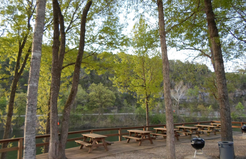 Picnic at Norfork River Resort.