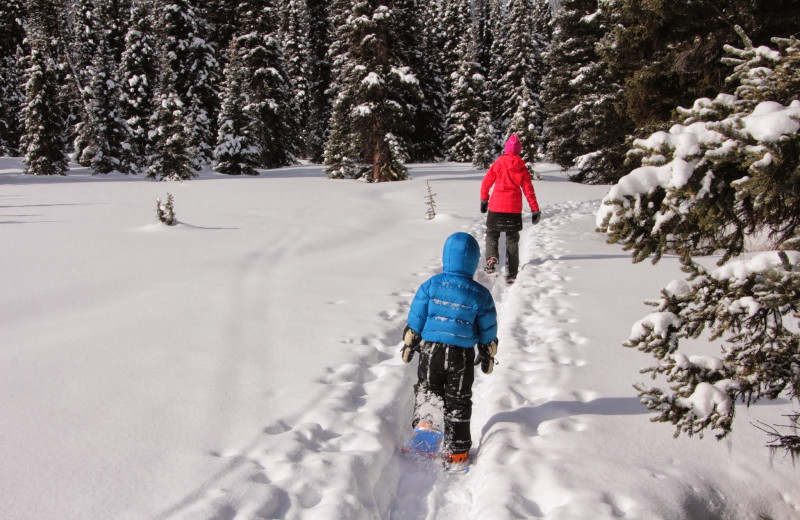 Skiing at Oakwood Resort.