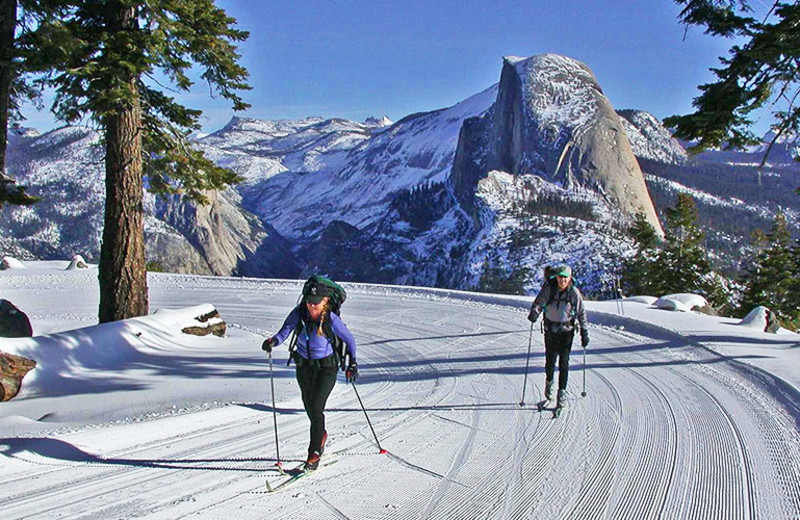 Skiing at Yosemite's Scenic Wonders.