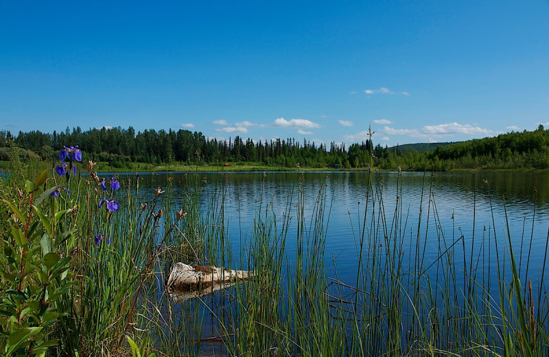 Lake view at Wedgewood Resort.