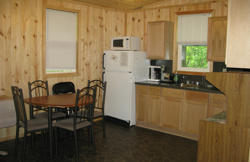 Cabin kitchen at Harris Hill Resort.