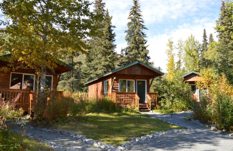 Cabins at Summit Lake Lodge.