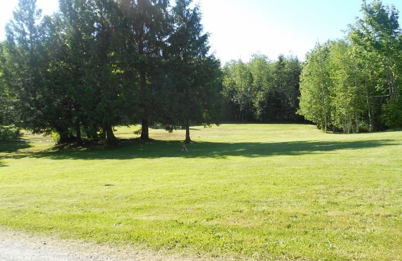 Grounds at Blue Mountain Retreat.