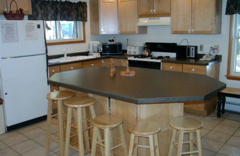 Cabin kitchen at Sand County Service Company - Lakehaus.