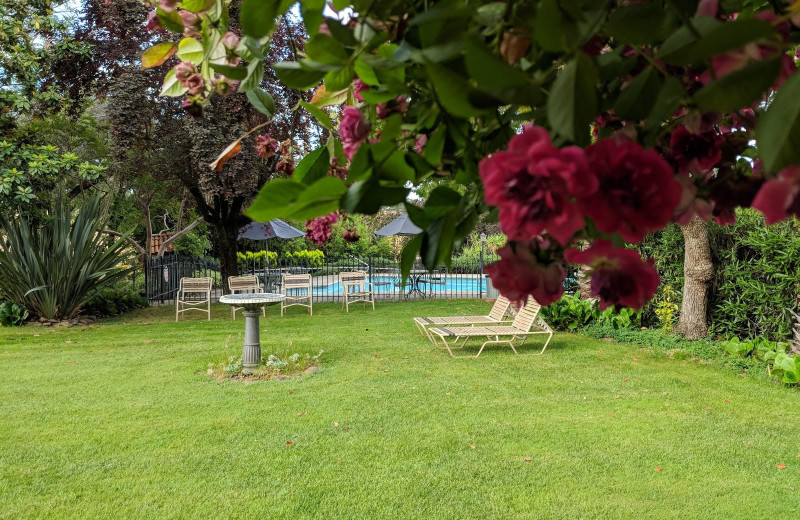 Grounds at El Campo Casa Resort Motel.