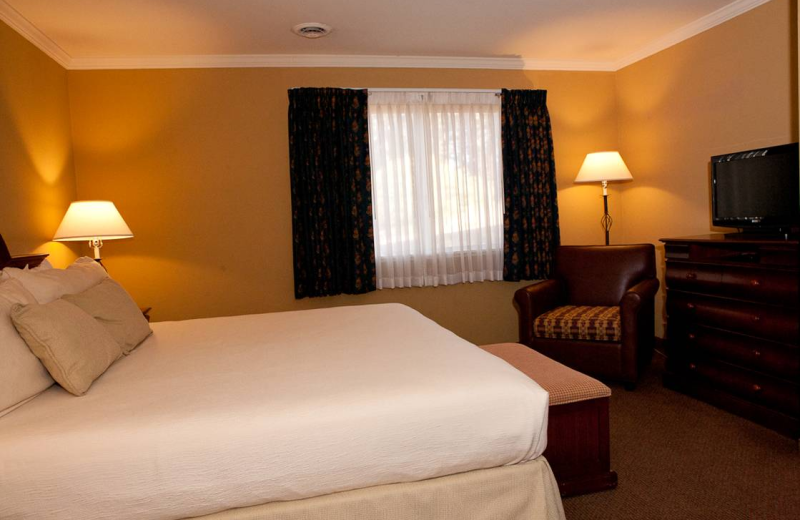 Guest Room at Forest Suites Resort