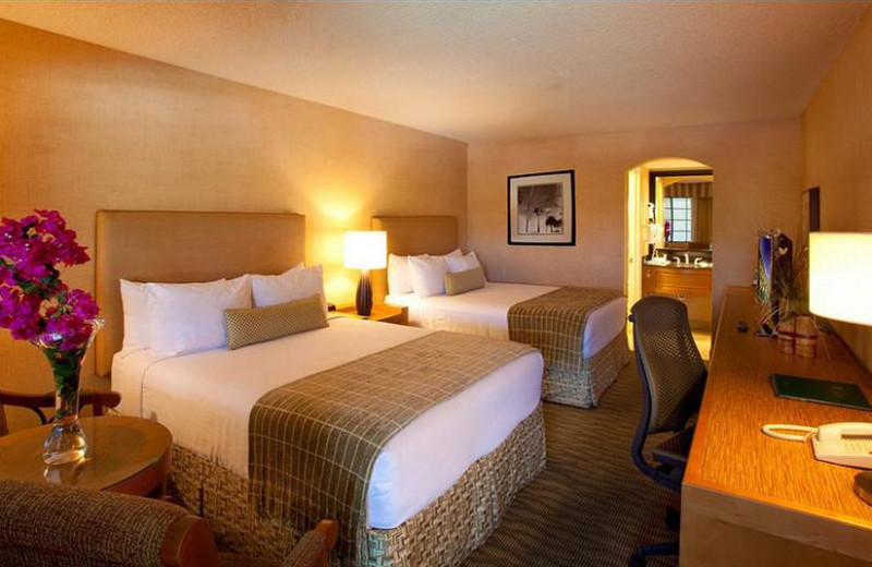 Double guest room at Best Western Plus Las Brisas Hotel.