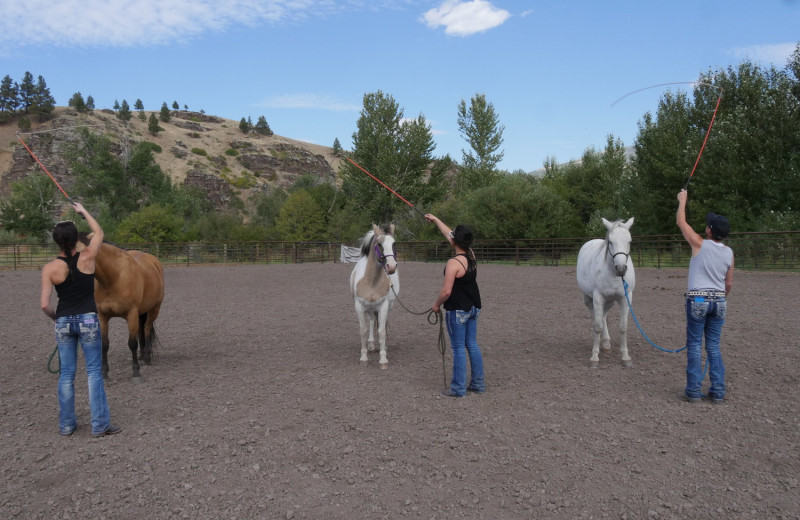 Horse lessons at Rocking Z Ranch.