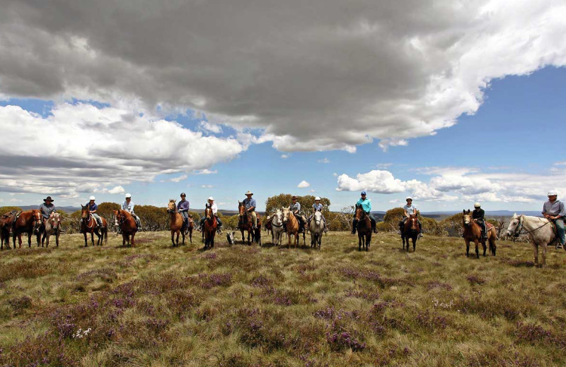 Horseback riding at Tapatio Springs Hill Country Resort.