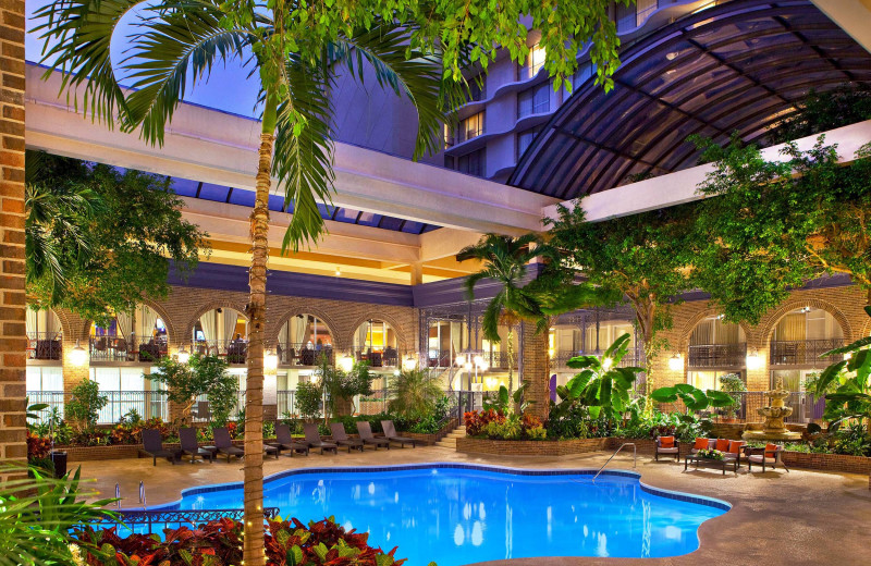 Outdoor pool at Sheraton Atlanta Hotel.