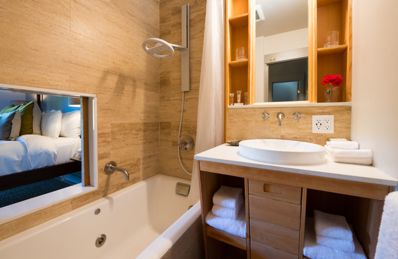 Guest bathroom at Olema House.