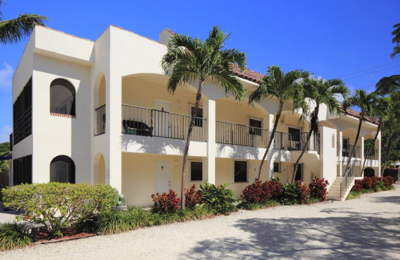 Exterior view of Lookout Lodge Resort.