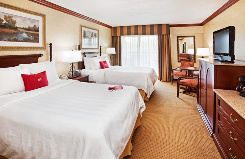 Guest Room at the Crowne Plaza Resort Asheville