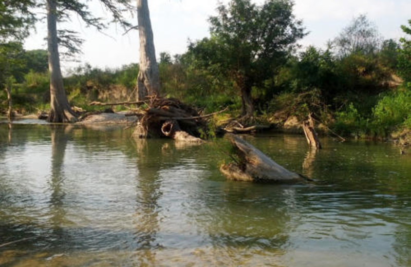 Guadalupe River at Haven River Inn