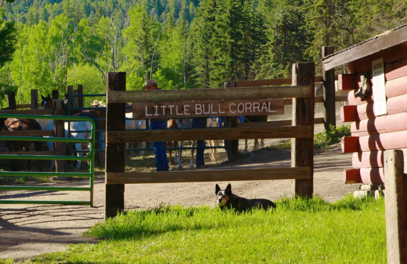 Ranch at Elk Mountain Ranch.