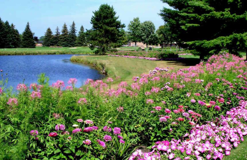 Lake view at Lakewood Shores Resort.